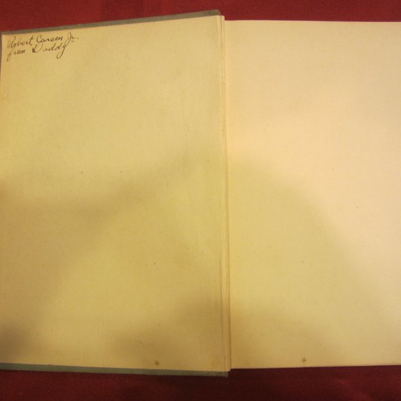 ANTIQUE 1900'S PECK'S SUNBEAMS, BY GEO W PECK, HC BOOK - Picture 5 of 8